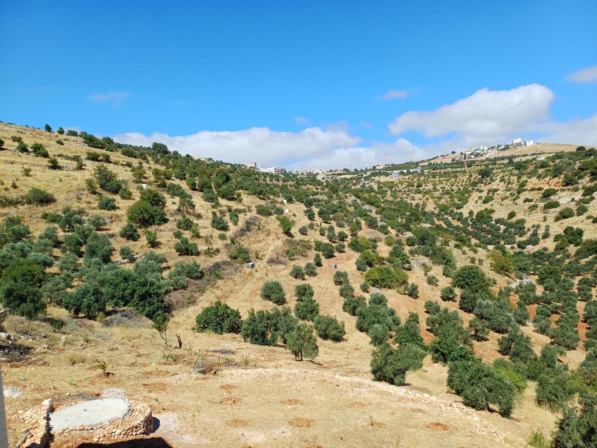 Ajlon Skhrh Villa Sakhrah Dış mekan fotoğraf