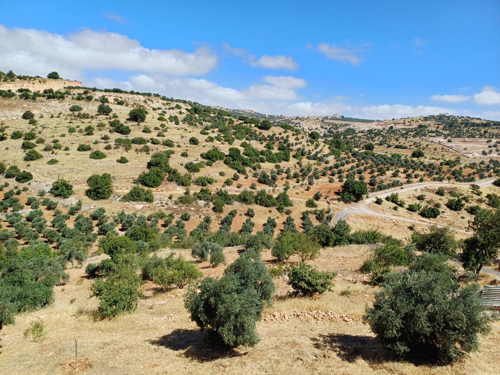 Ajlon Skhrh Villa Sakhrah Dış mekan fotoğraf