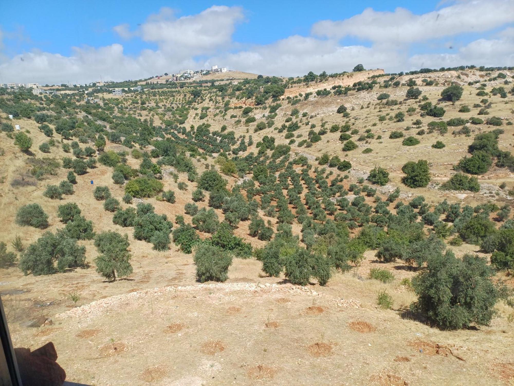 Ajlon Skhrh Villa Sakhrah Dış mekan fotoğraf